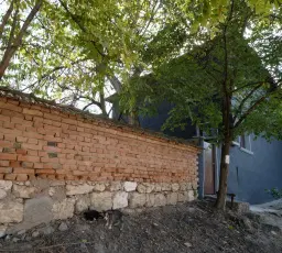 Woning met 2 verdiepingen, bijgebouwen en 2.500 m2 grond in Ostrov-upon-Danube - Bulgarije