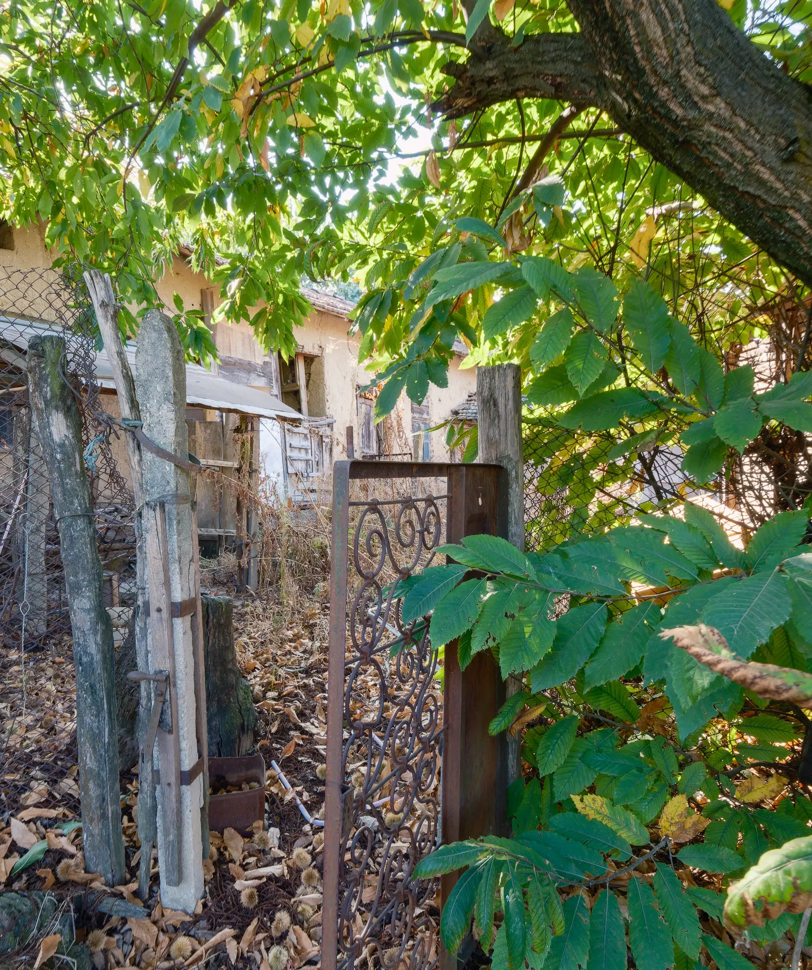 Woning met 2 verdiepingen, bijgebouwen en 2.500 m2 grond in Ostrov-upon-Danube - Bulgarije