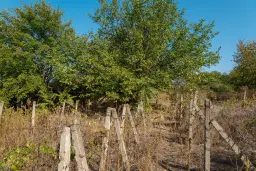 Woning met 2 verdiepingen, bijgebouwen en 2.500 m2 grond in Ostrov-upon-Danube - Bulgarije