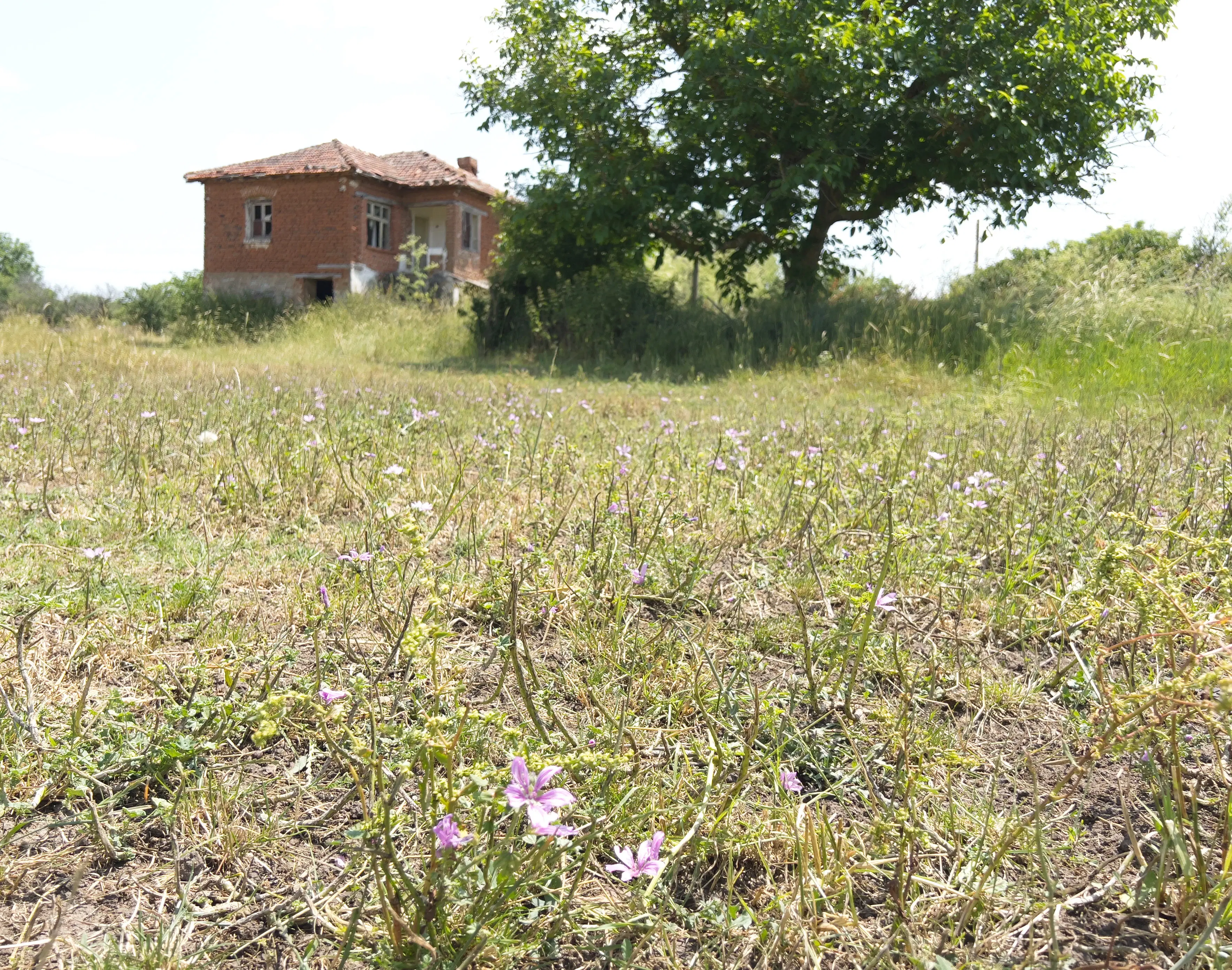 Woning met 2 verdiepingen in Sharkovo (Yambol) - Bulgarije