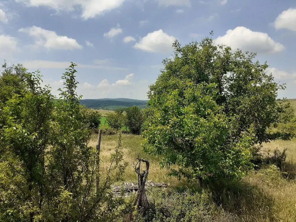 Woning met 2 verdiepingen in Sharkovo (Yambol) - Bulgarije