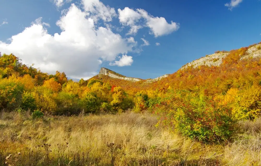 174.932 m2 bosgrond in de regio Belogradchik - Bulgarije