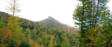 174.932 m2 bosgrond in de regio Belogradchik - Bulgarije