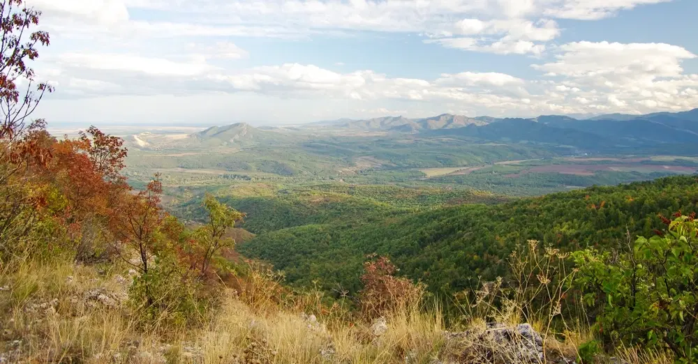 174.932 m2 bosgrond in de regio Belogradchik - Bulgarije