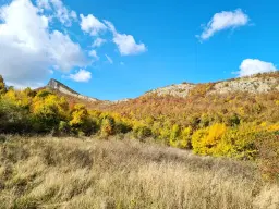 174.932 m2 bosgrond in de regio Belogradchik - Bulgarije