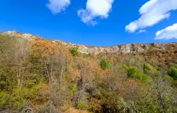 174.932 m2 bosgrond in de regio Belogradchik - Bulgarije