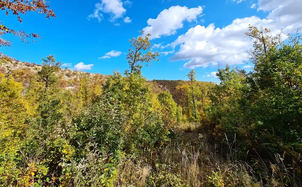 174.932 m2 bosgrond in de regio Belogradchik - Bulgarije