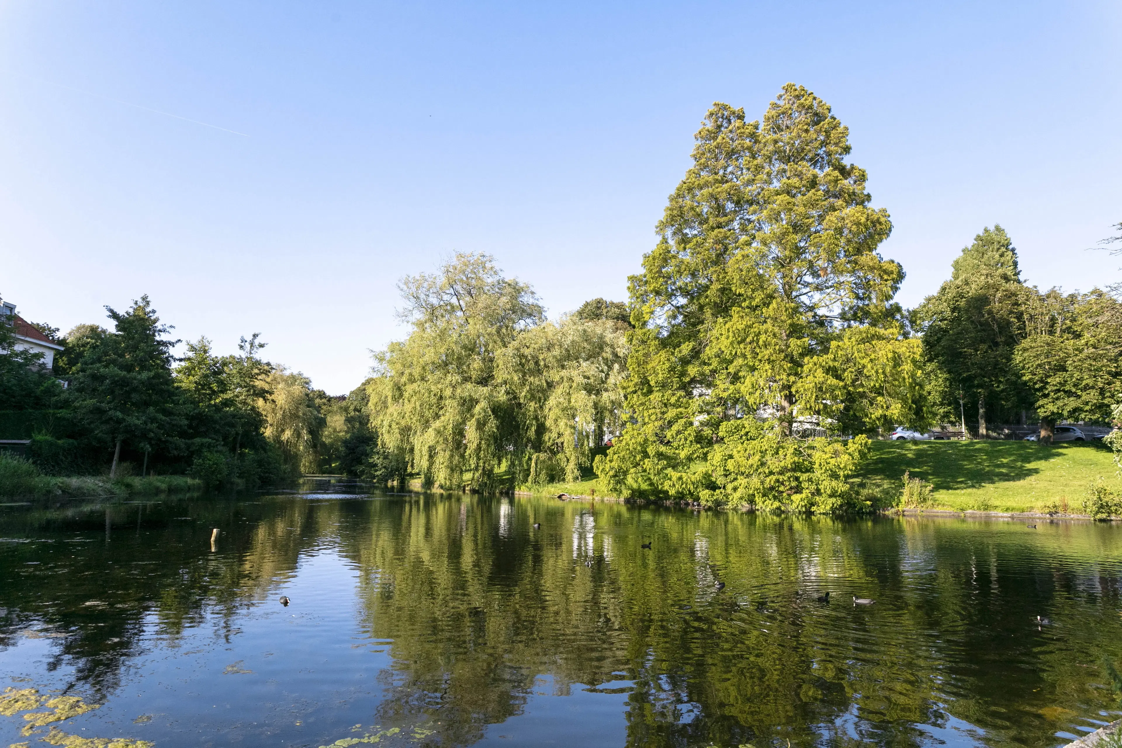 's-Gravenhage, Groot Hertoginnelaan 17