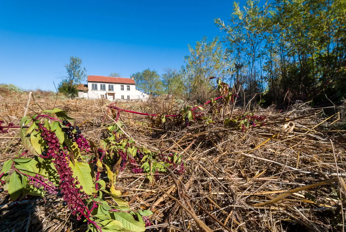 Stenen huis met 2 verdiepingen in Darzhava (Star Zagora) - Bulgarije