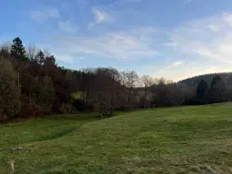 Perceel grond van 3.320 m2 met jachthut in Friedrichroda - Duitsland