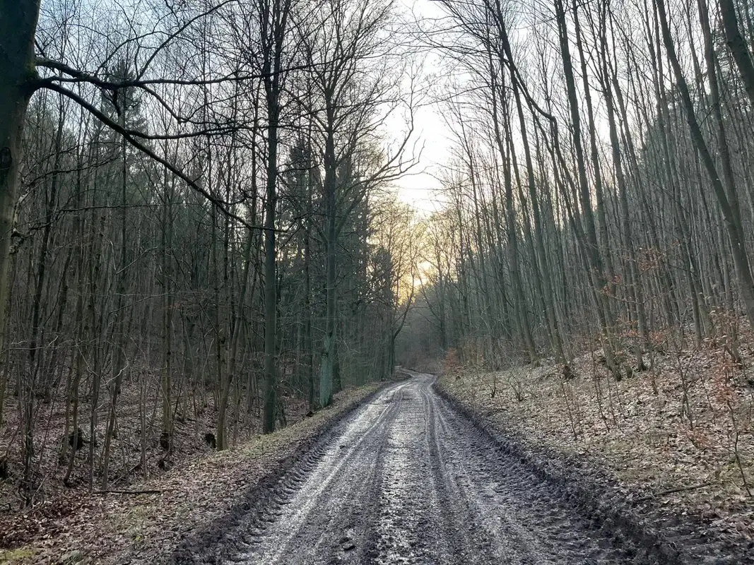 Perceel grond van 3.320 m2 met jachthut in Friedrichroda - Duitsland