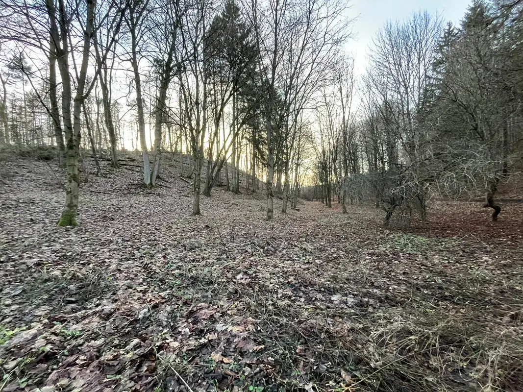 Perceel grond van 3.320 m2 met jachthut in Friedrichroda - Duitsland