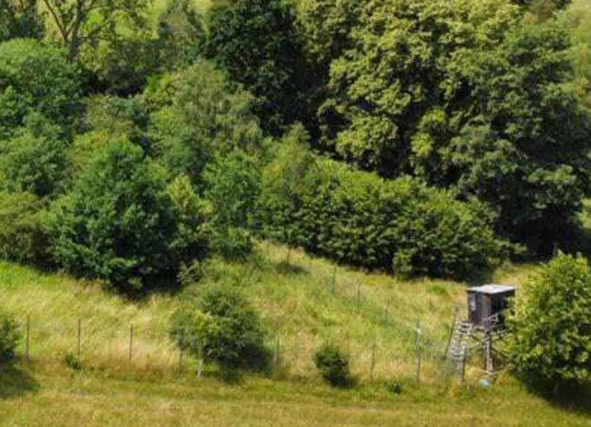 Perceel grond van 3.320 m2 met jachthut in Friedrichroda - Duitsland