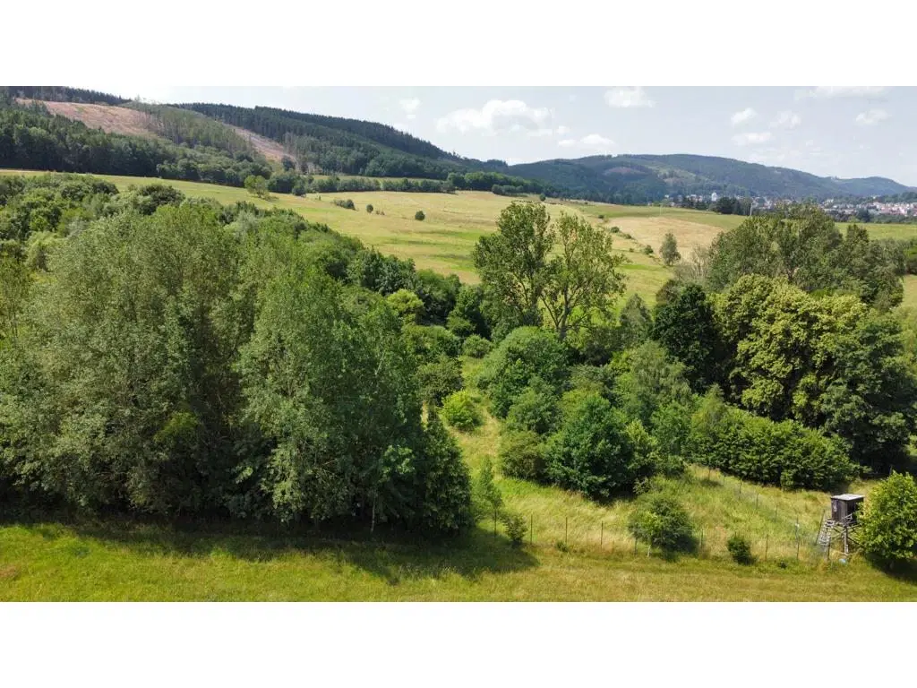 Perceel grond van 3.320 m2 met jachthut in Friedrichroda - Duitsland