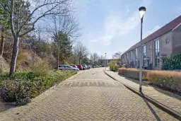 Spanbroek, Waterhoen 42
