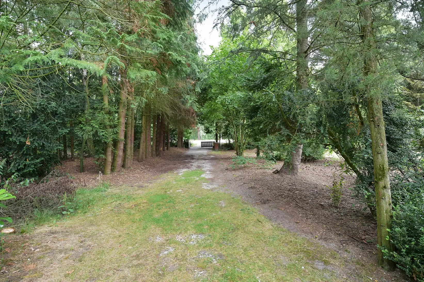 Esbeek, Lage Mierdseweg 18