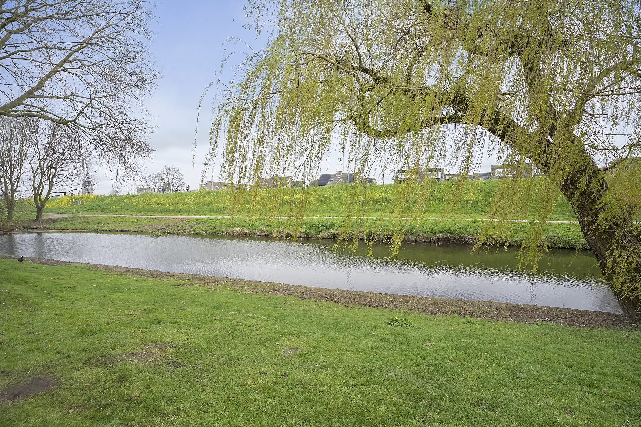 Spijkenisse, Baarsveen 481
