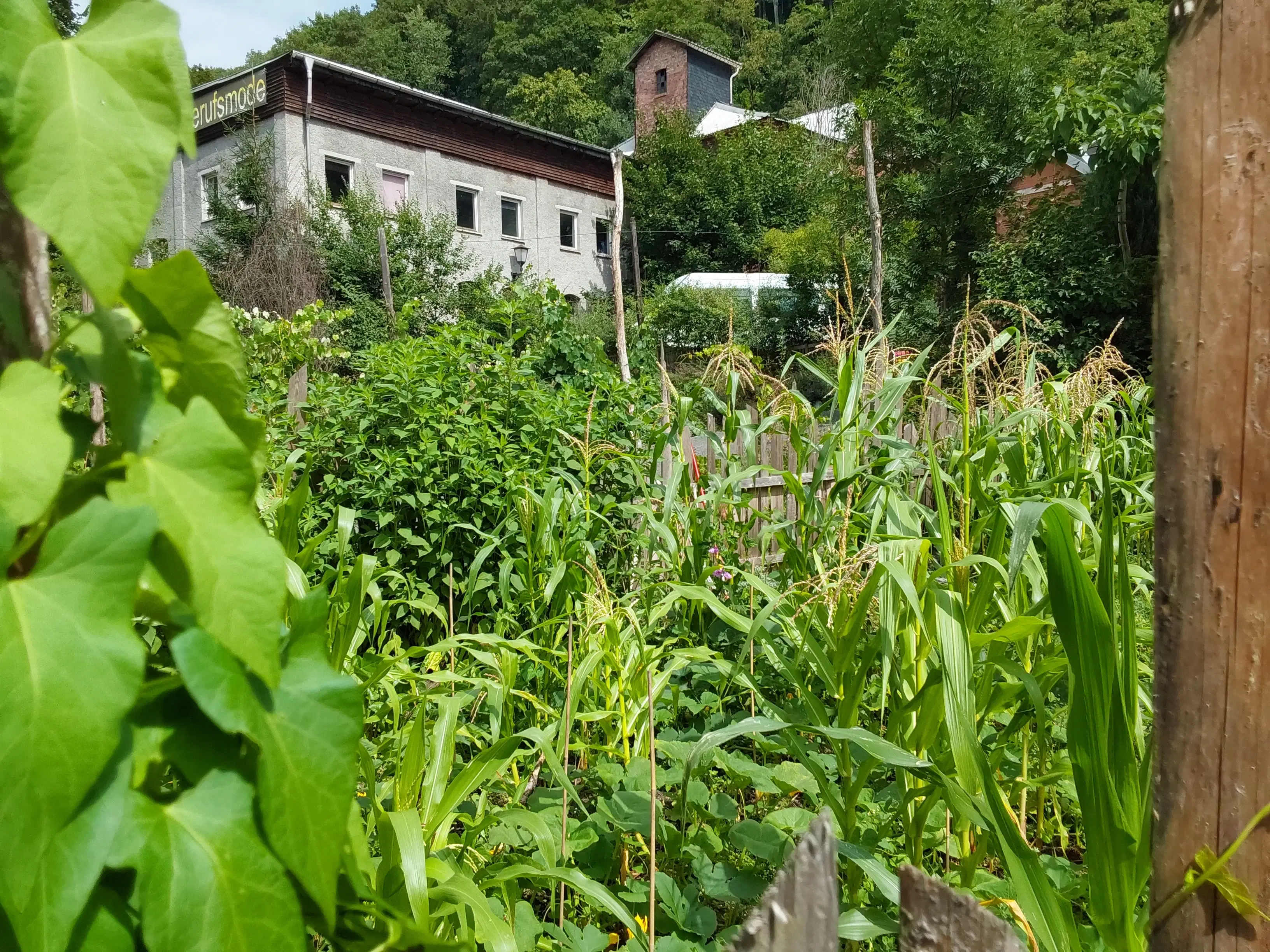 Villa op 1.8 ha perceel, tuin, bos, sauna, bron + bedrijf in Sonneberg - Duitsland