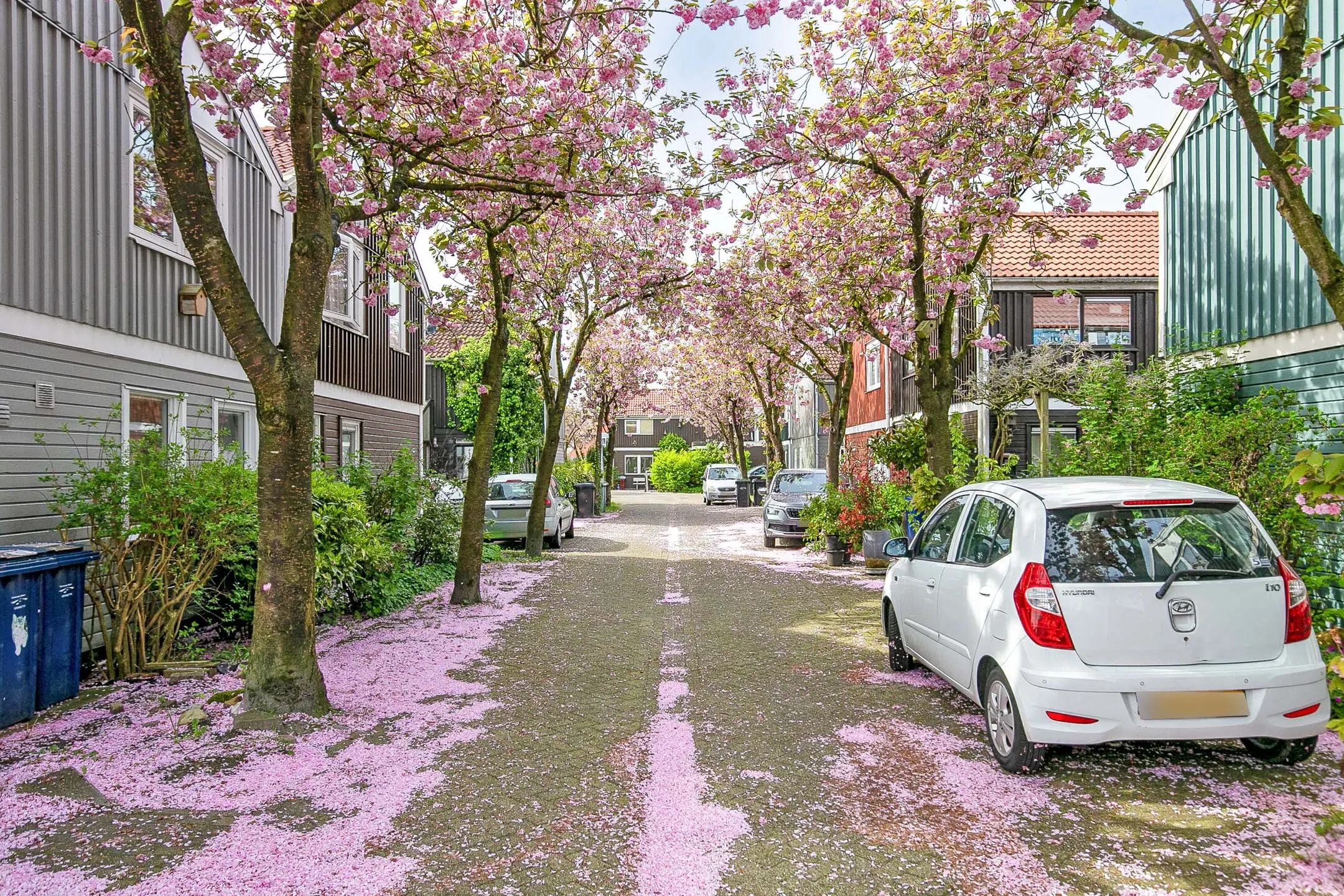 Almere, Kromgouw 62
