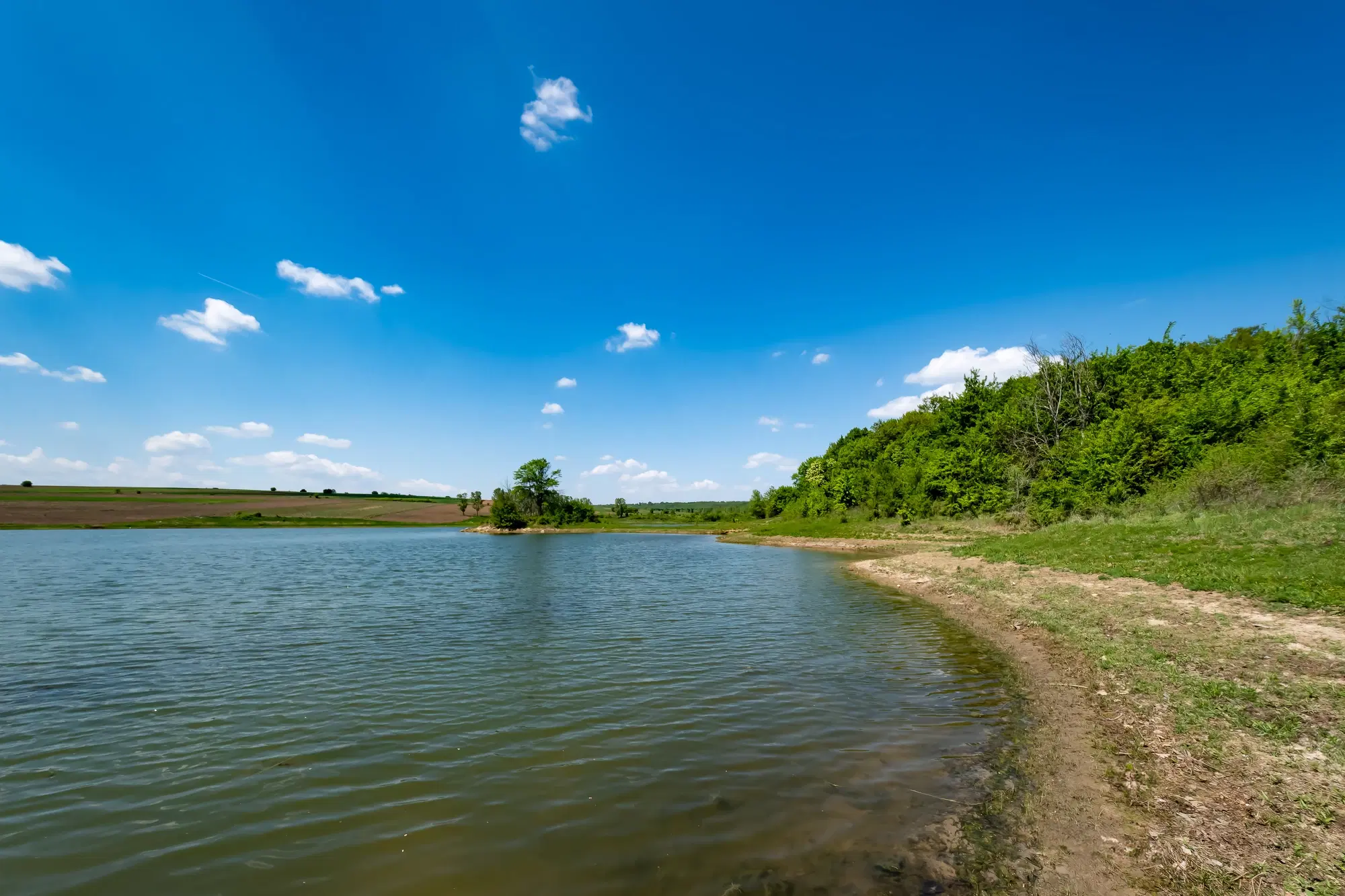 68.678 m2 Bosgrond in de regio Vidin - Bulgarije