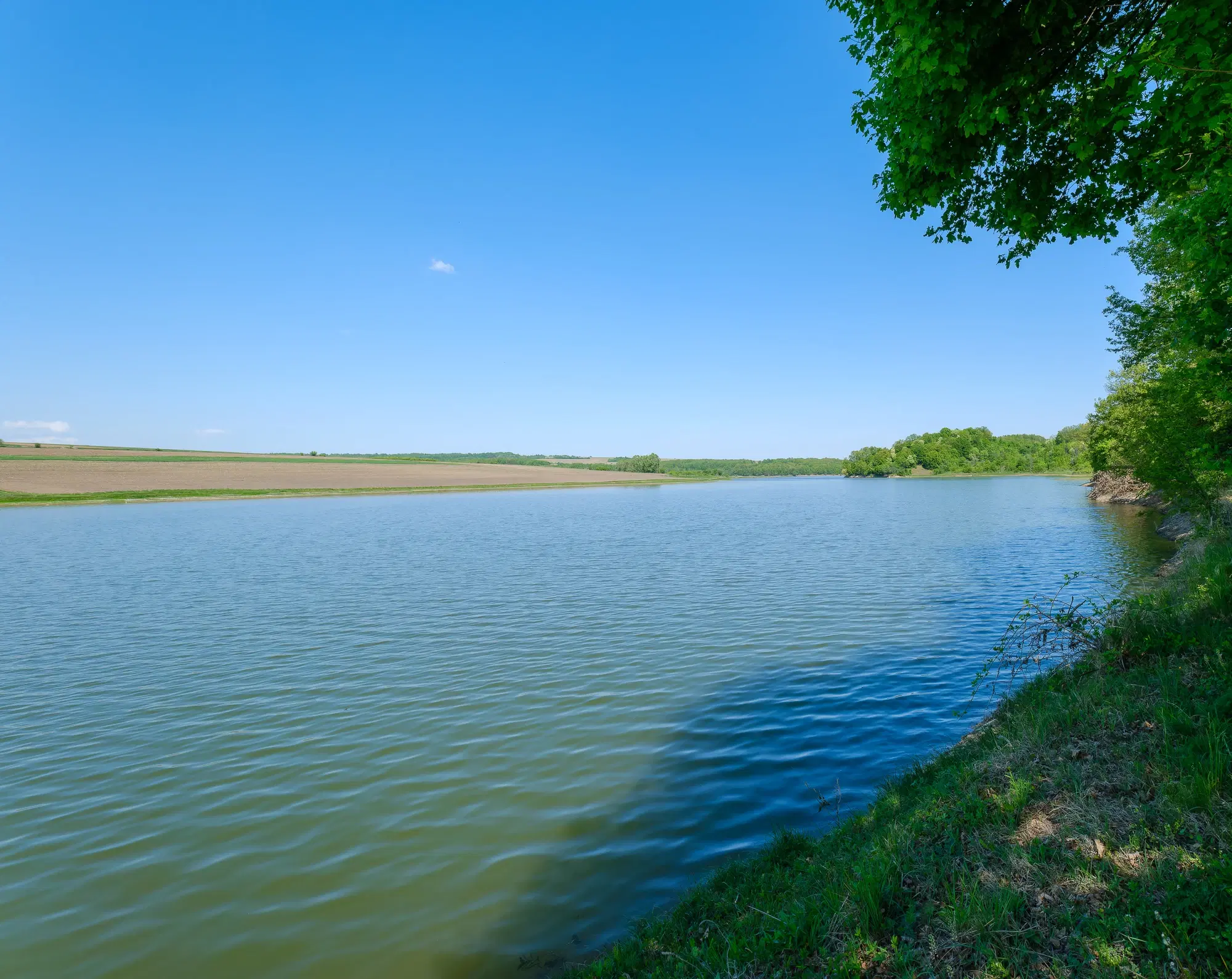 68.678 m2 Bosgrond in de regio Vidin - Bulgarije