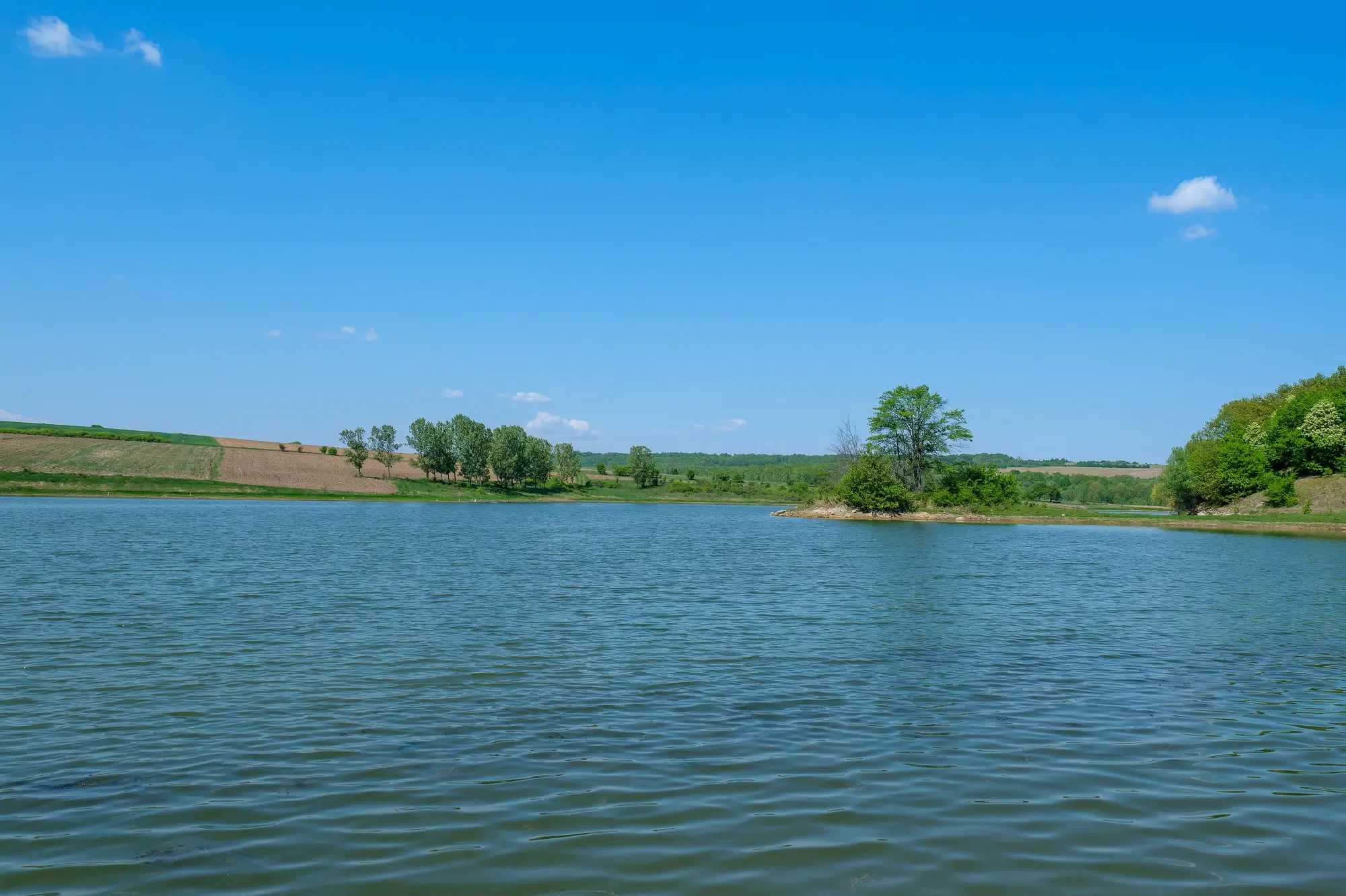 68.678 m2 Bosgrond in de regio Vidin - Bulgarije