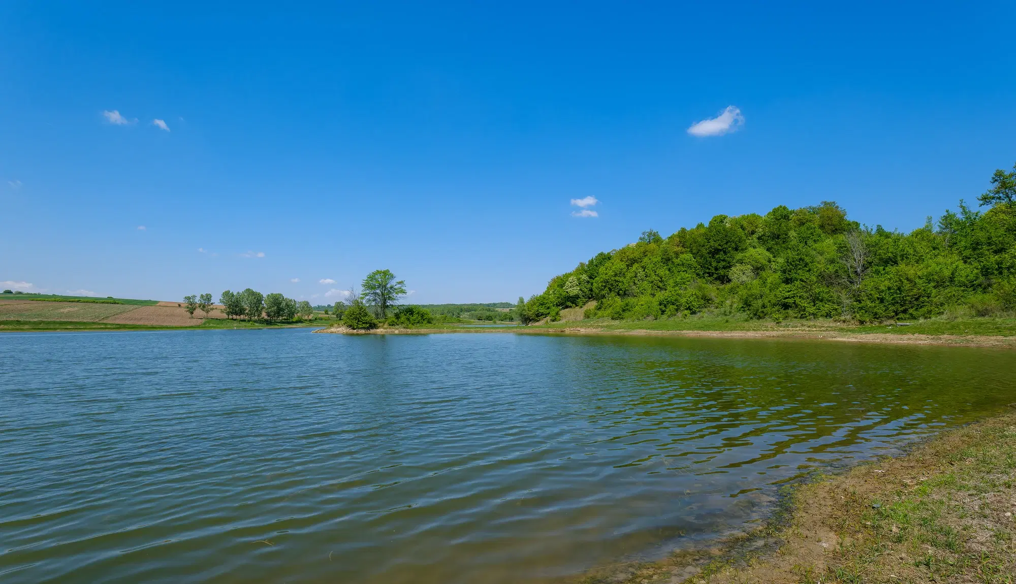 68.678 m2 Bosgrond in de regio Vidin - Bulgarije