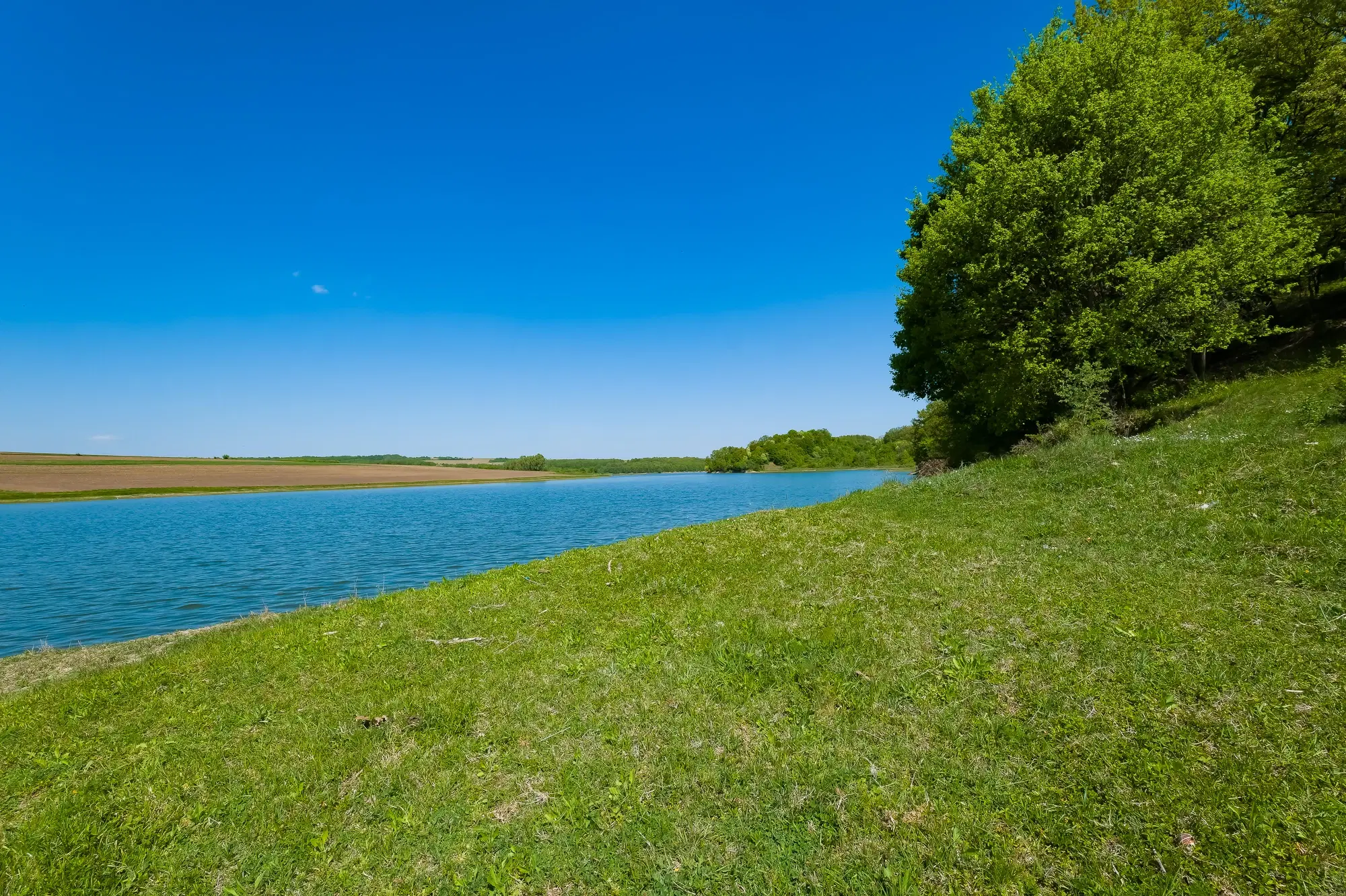 68.678 m2 Bosgrond in de regio Vidin - Bulgarije