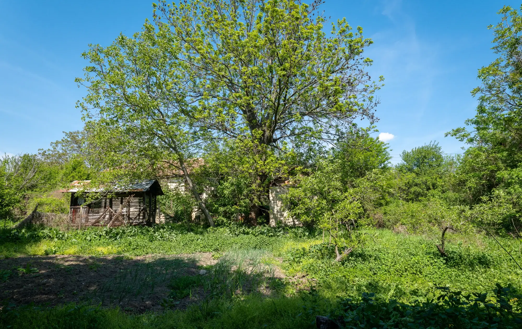 Huis met 2 verdiepingen, 2.000 m2 grond en bijgebouwen in Perilovets - Bulgarije