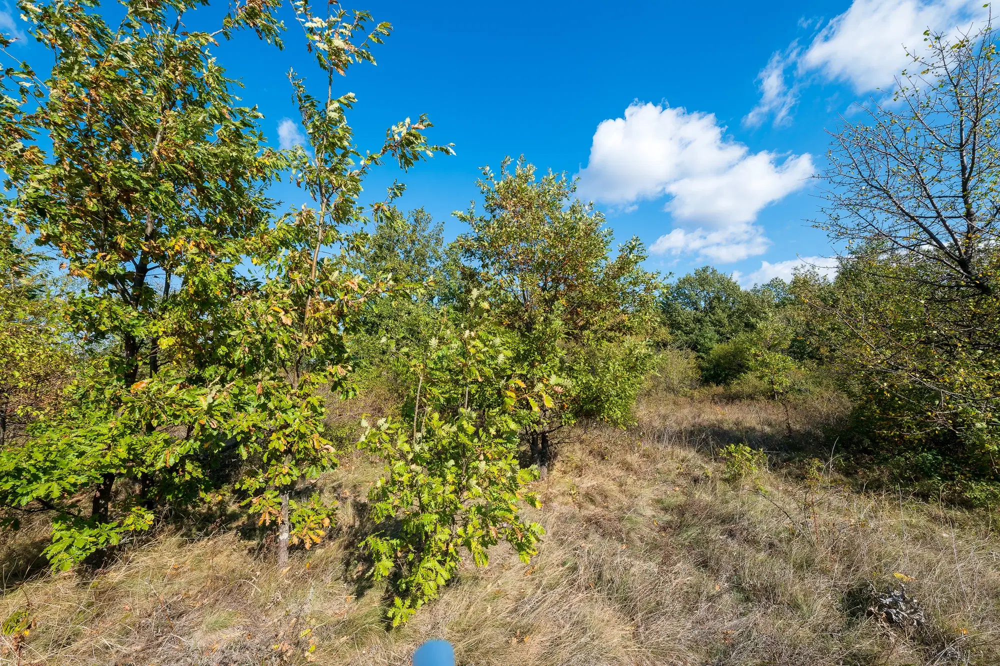 26.055 m² bosgrond - Rakovitsa, Vidin - Bulgarije