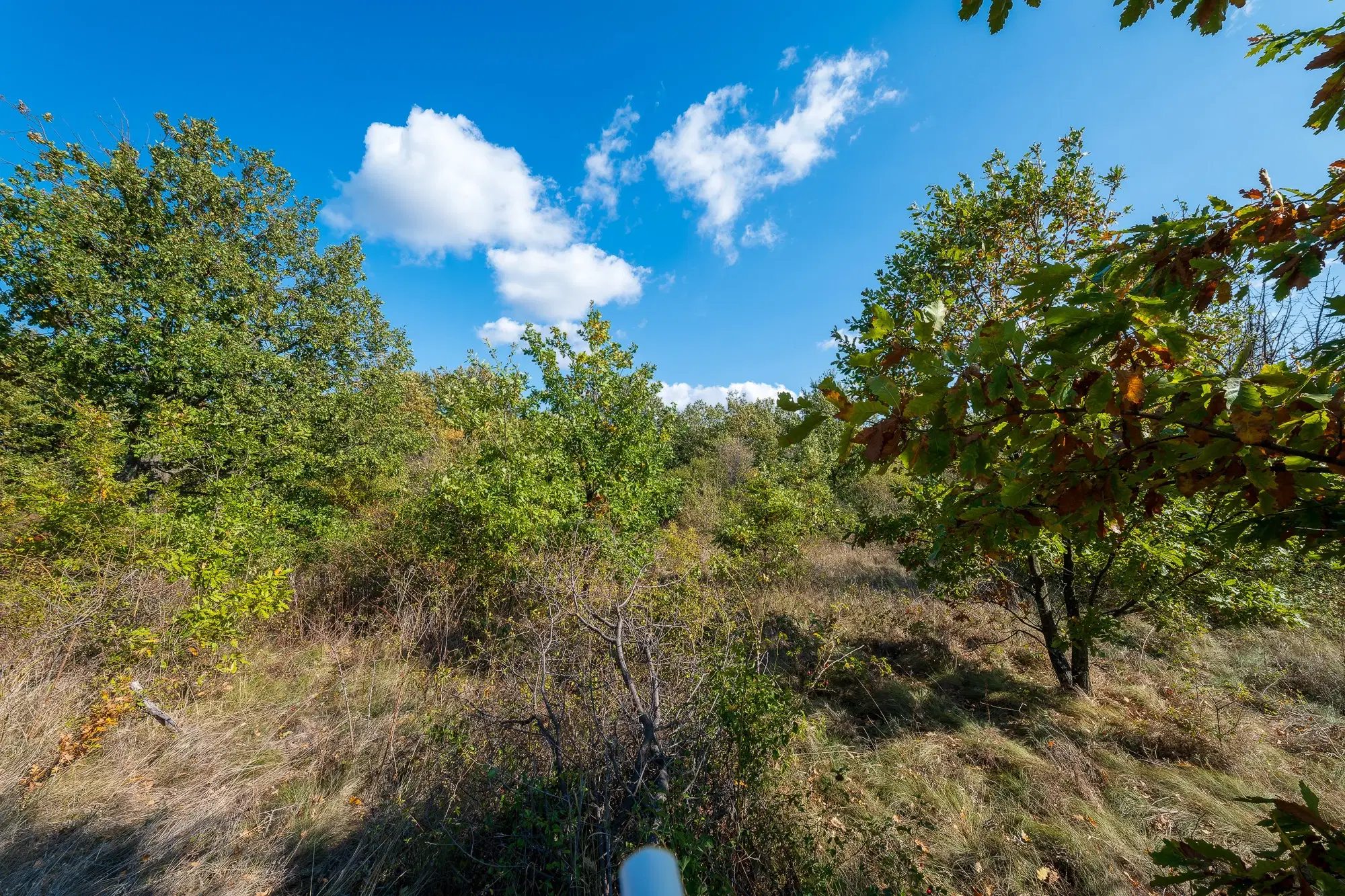 26.055 m² bosgrond - Rakovitsa, Vidin - Bulgarije