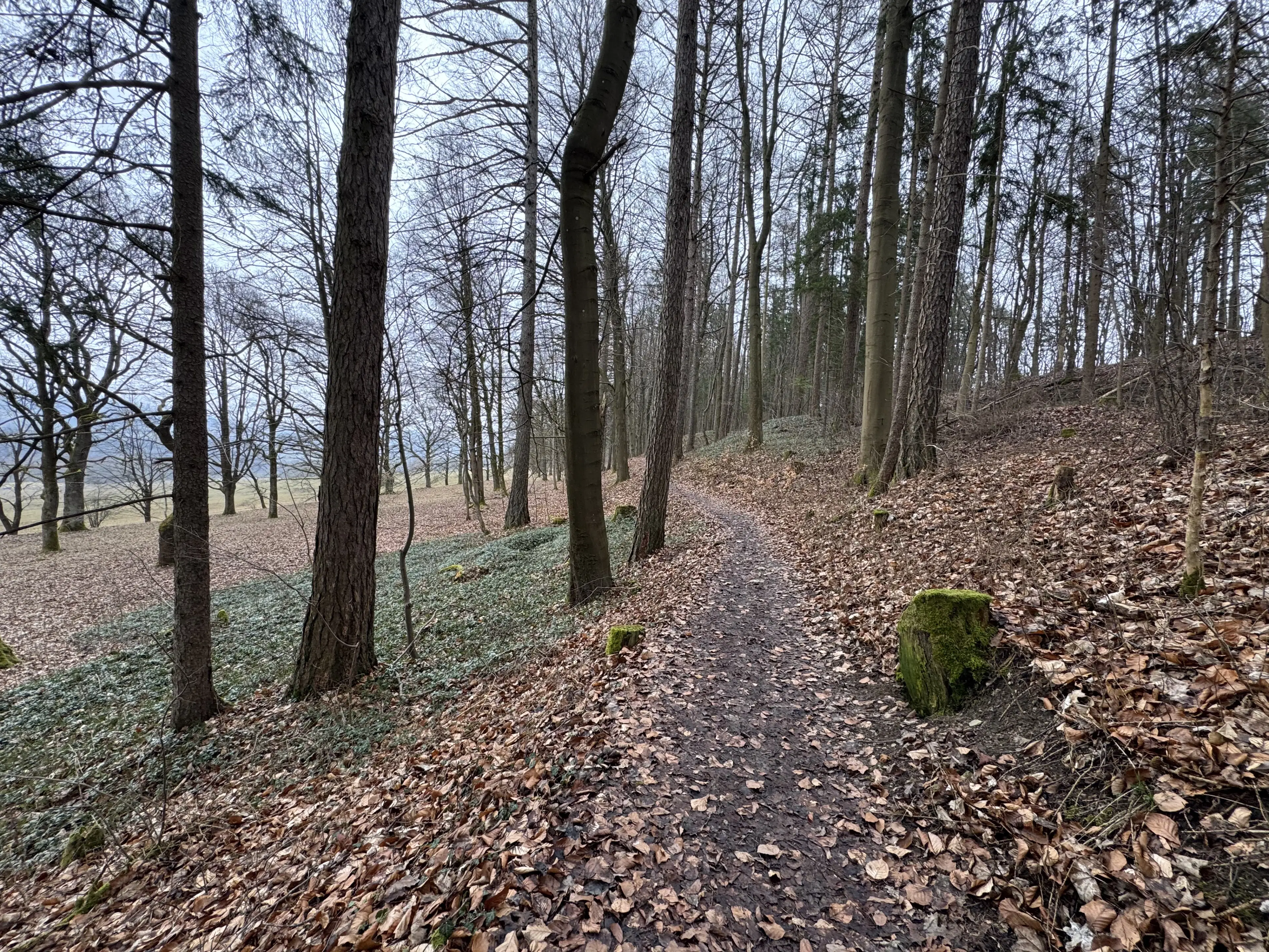 Woonhuis nabij de Beierse grens, Eisfeld - Duitsland