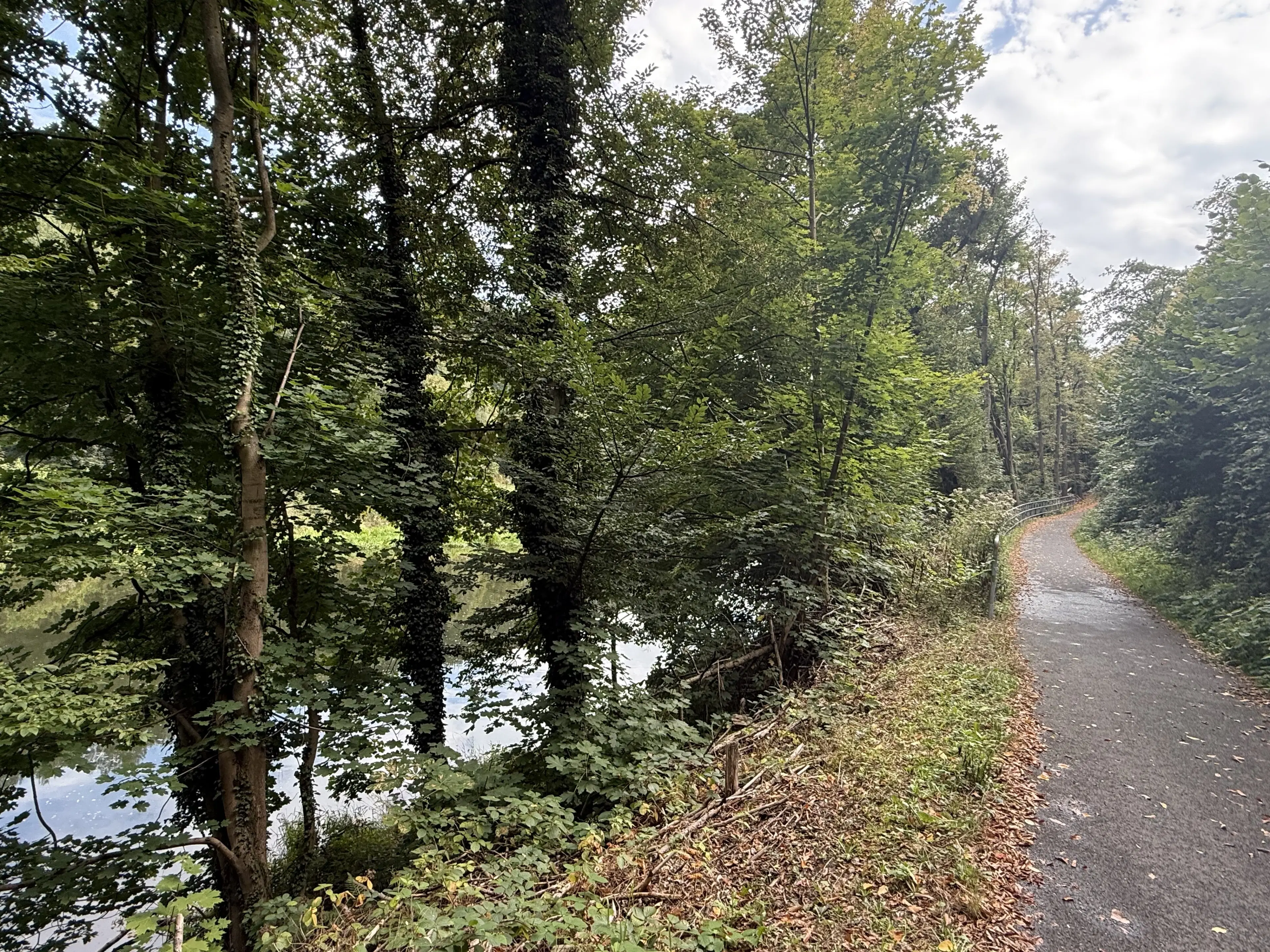 1,5 hectare bosgrond in Waldheim - Duitsland