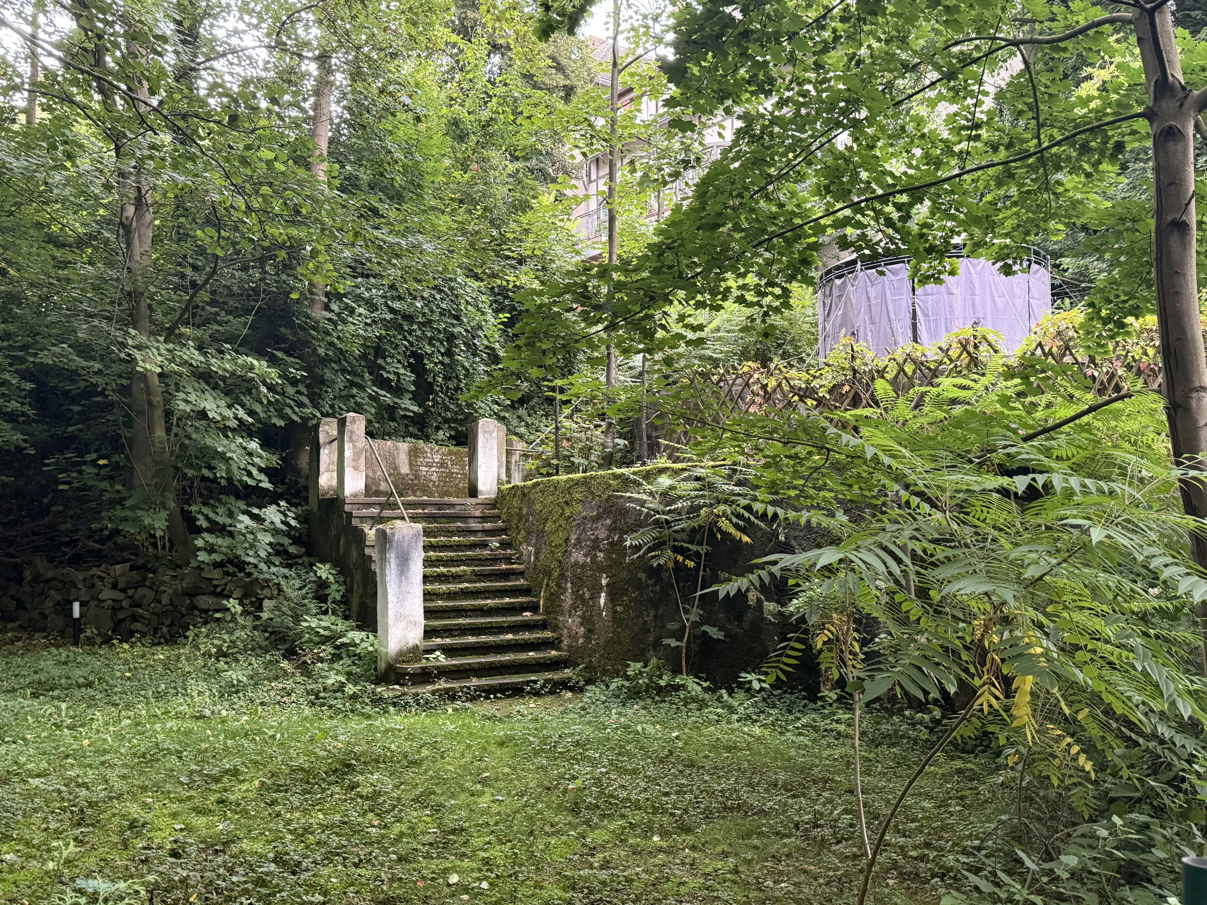 1,5 hectare bosgrond in Waldheim - Duitsland