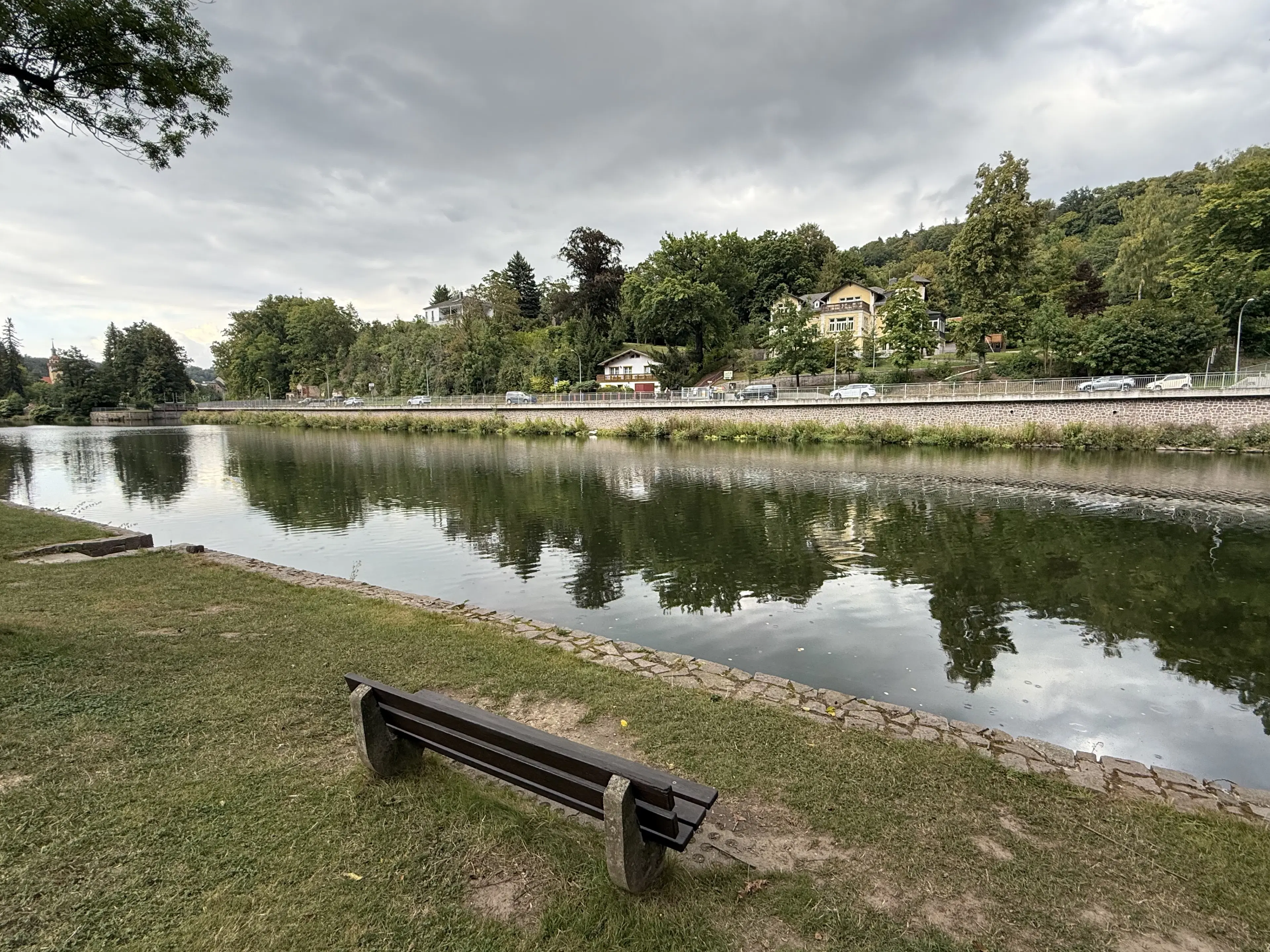 1,5 hectare bosgrond in Waldheim - Duitsland