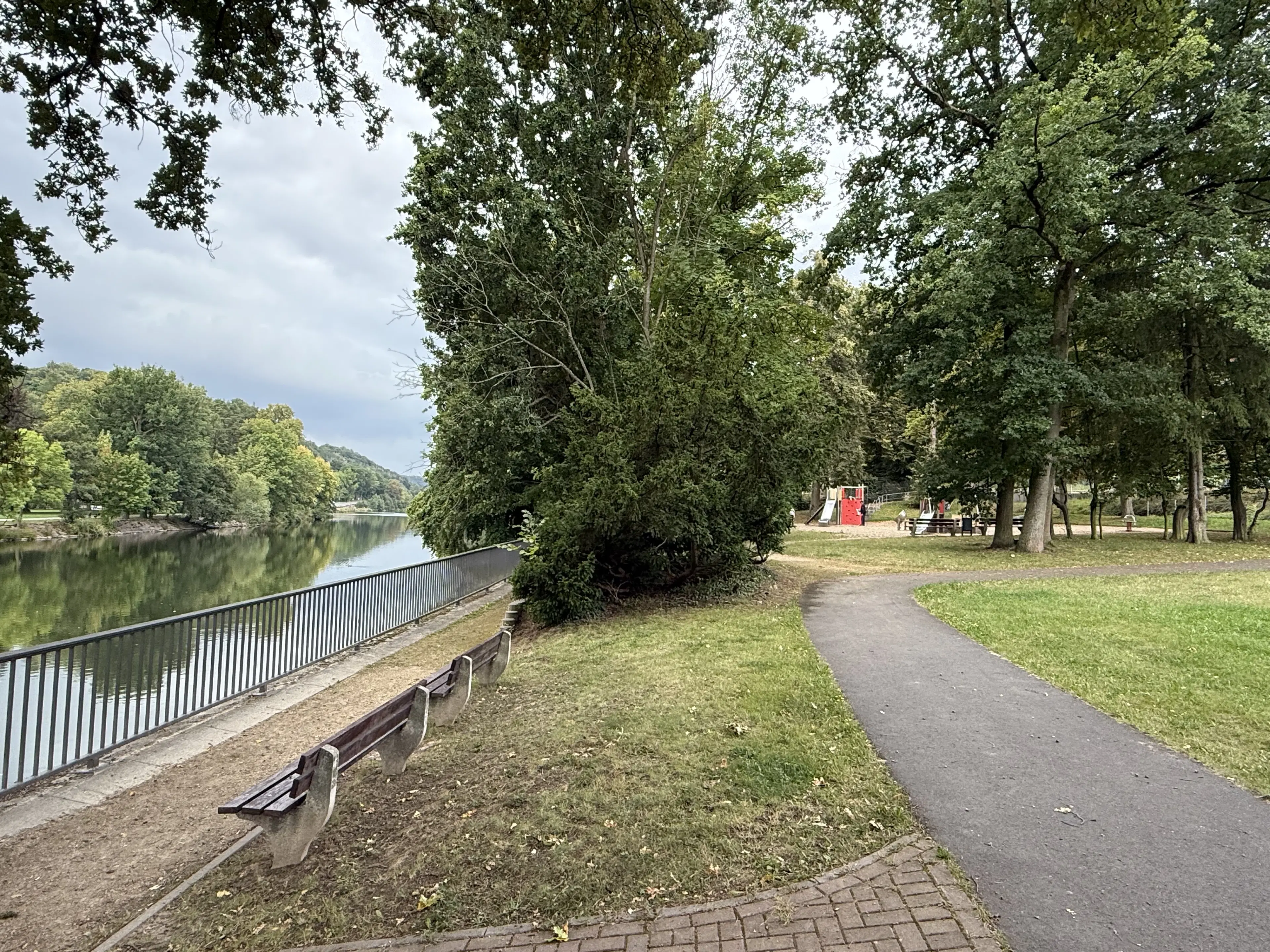 1,5 hectare bosgrond in Waldheim - Duitsland