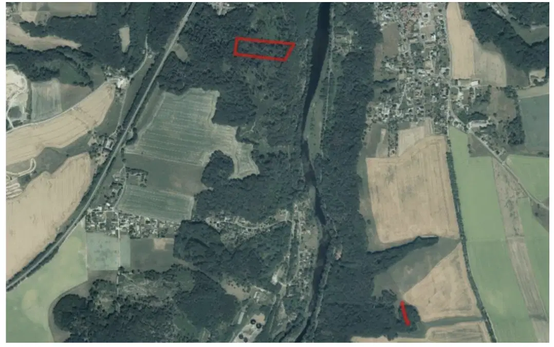 1,5 hectare bosgrond in Waldheim - Duitsland