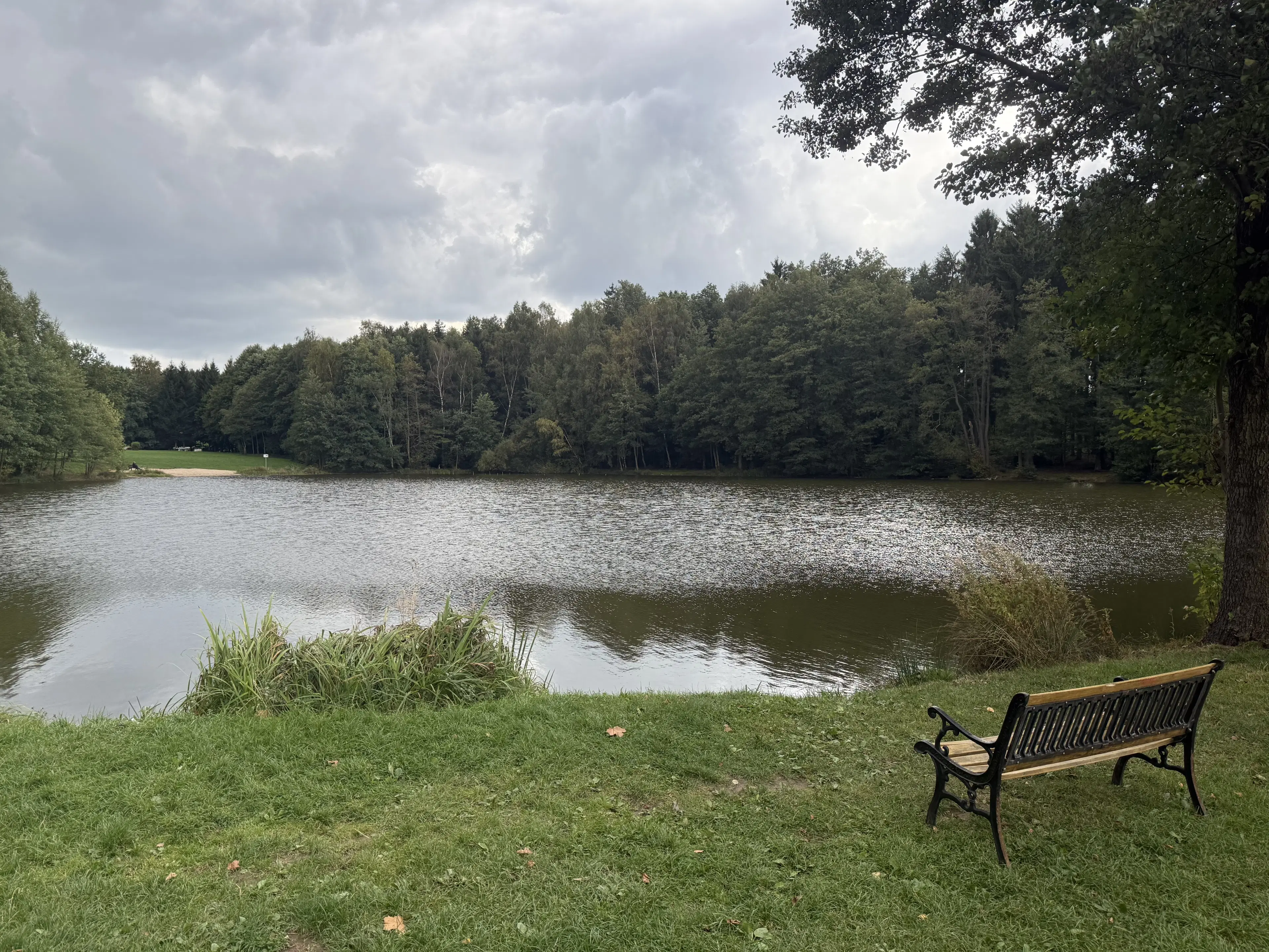 Beleggingsobject fabrikantenvilla in Mohlsdorf-Teichwolframsdorf, Thüringen - Duitsland