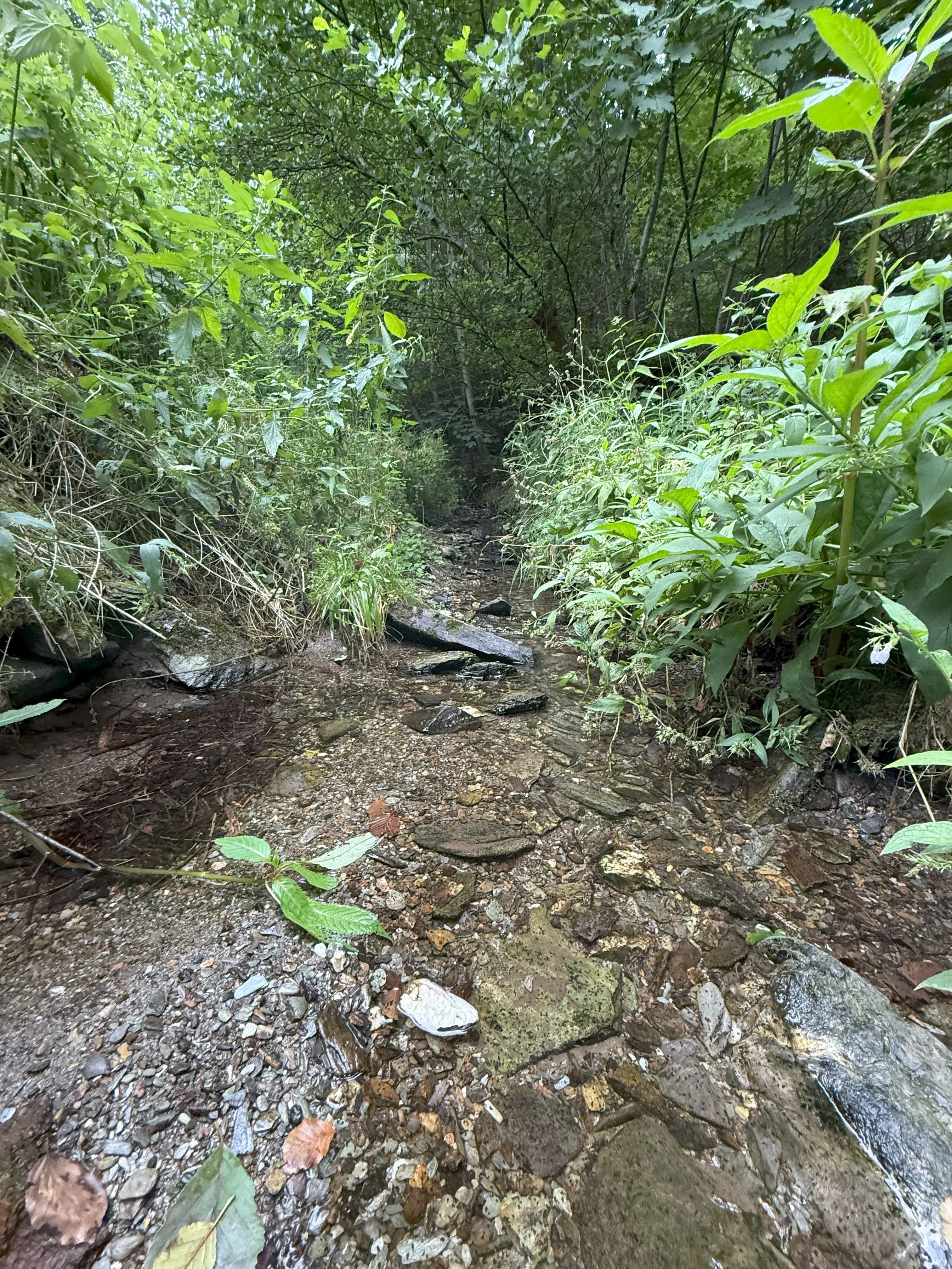 Perceel van 1.429 m² in de natuur van Greiz, Thüringen - Duitsland