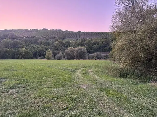 Off grid 1.020 m² eigendomsperceel nabij Röttingen, Bayern - Duitsland