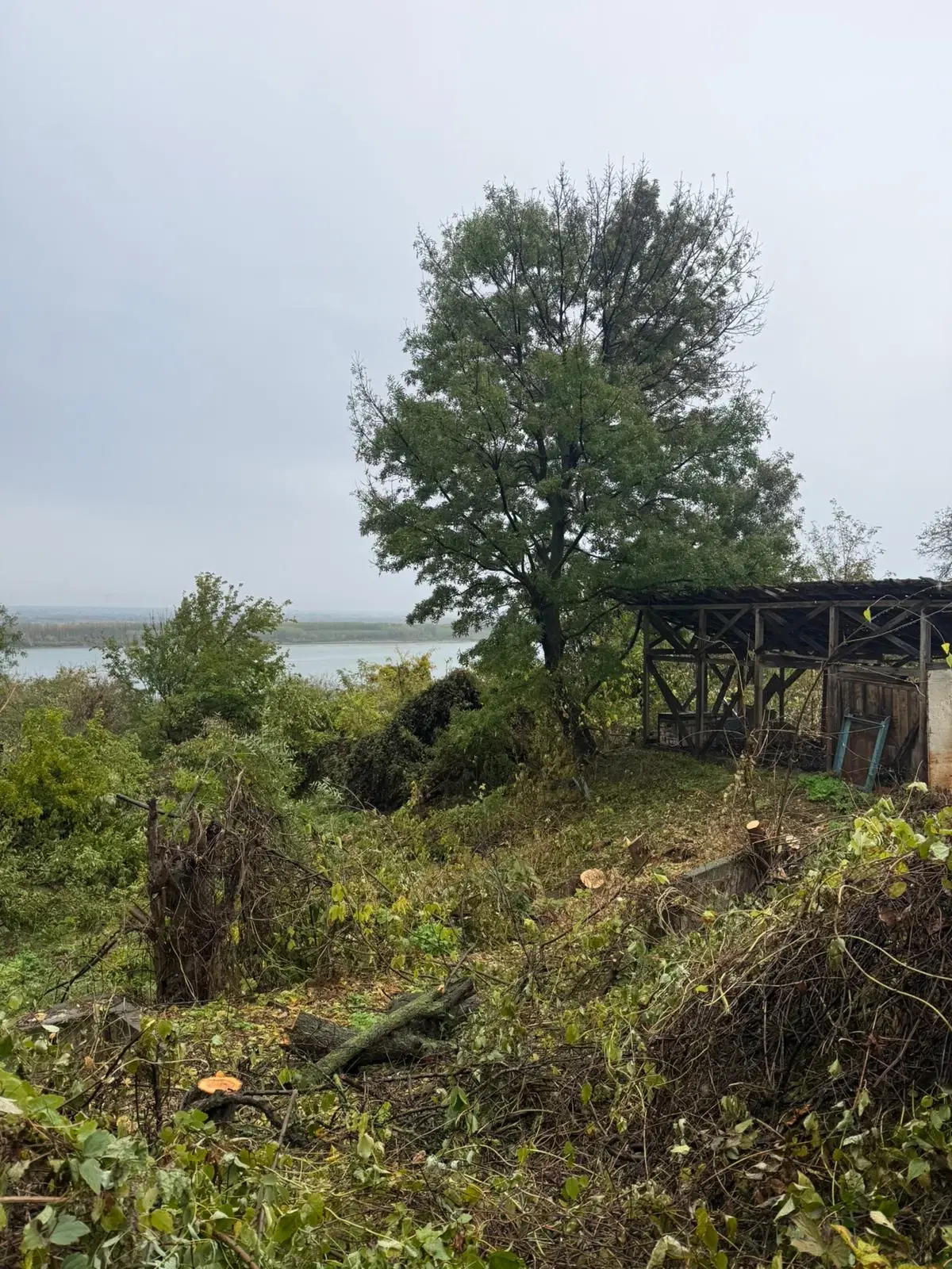 Huis met uitzicht op de rivier de Donau en 449 m² grond in Oryahovo - Bulgarije