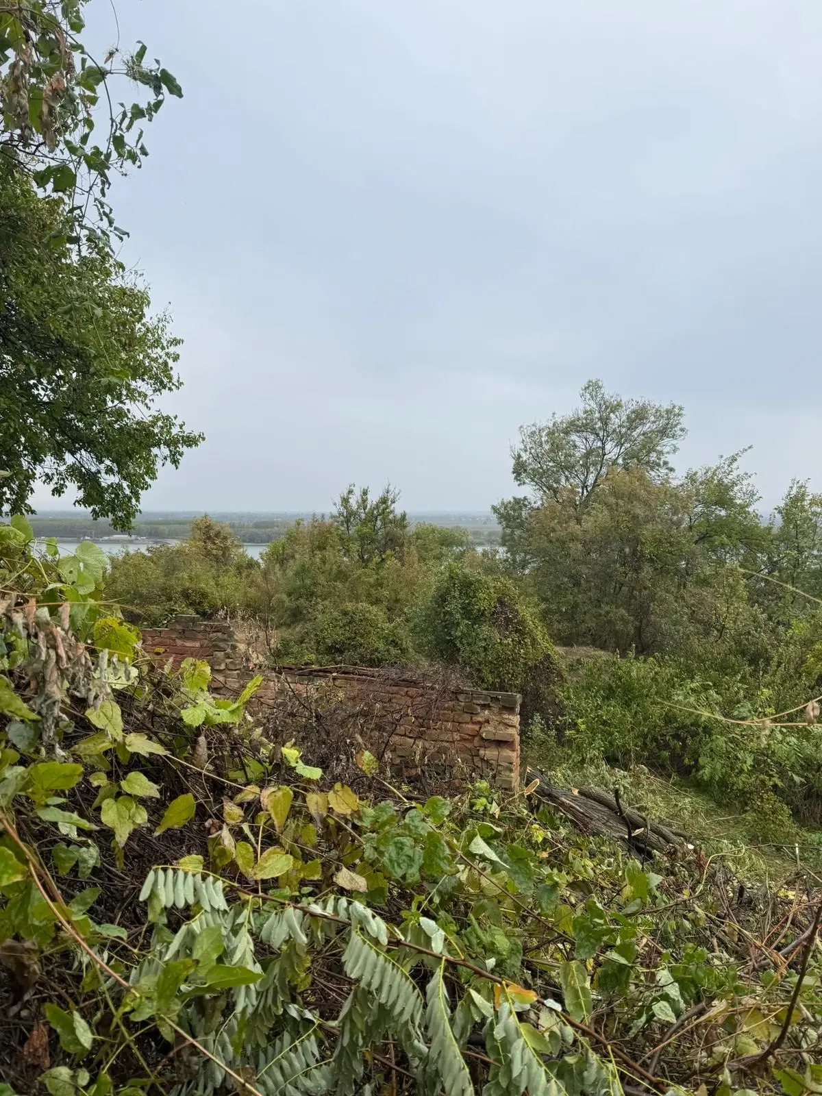 Huis met uitzicht op de rivier de Donau en 449 m² grond in Oryahovo - Bulgarije