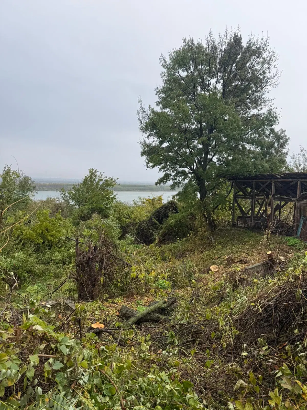 Huis met uitzicht op de rivier de Donau en 449 m² grond in Oryahovo - Bulgarije