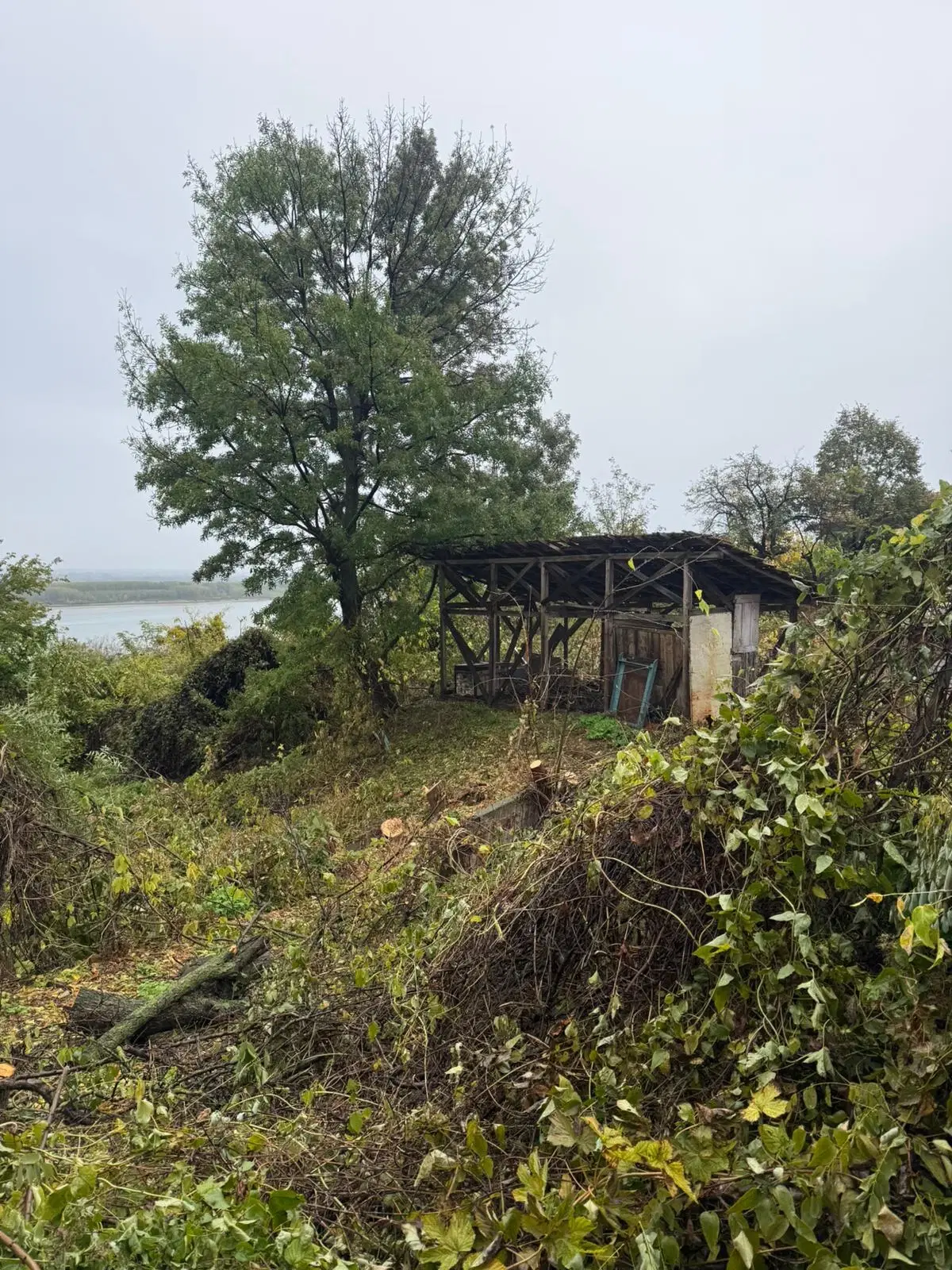 Huis met uitzicht op de rivier de Donau en 449 m² grond in Oryahovo - Bulgarije