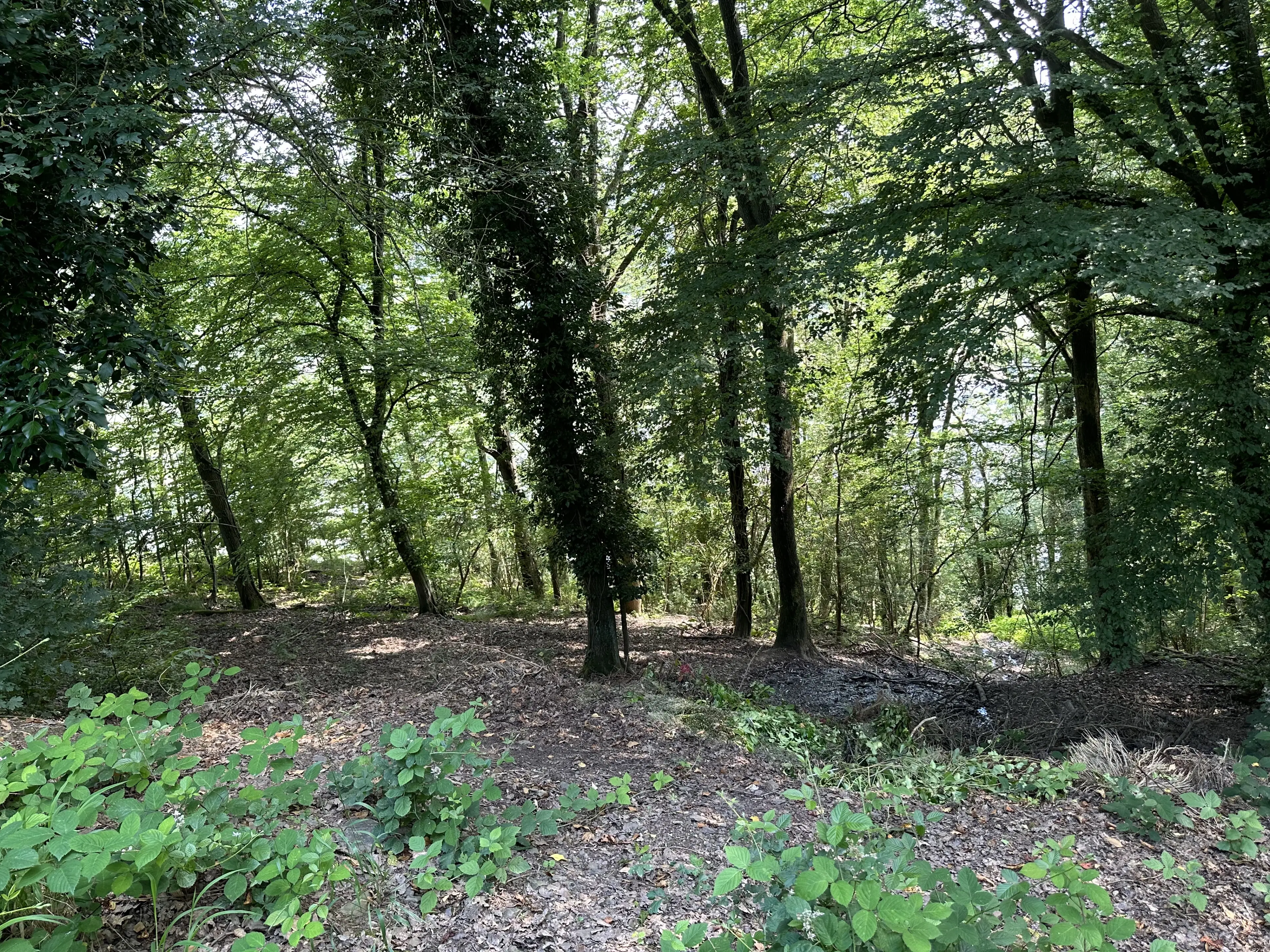 3 percelen van totaal 604 m² in Cochem - Duitsland