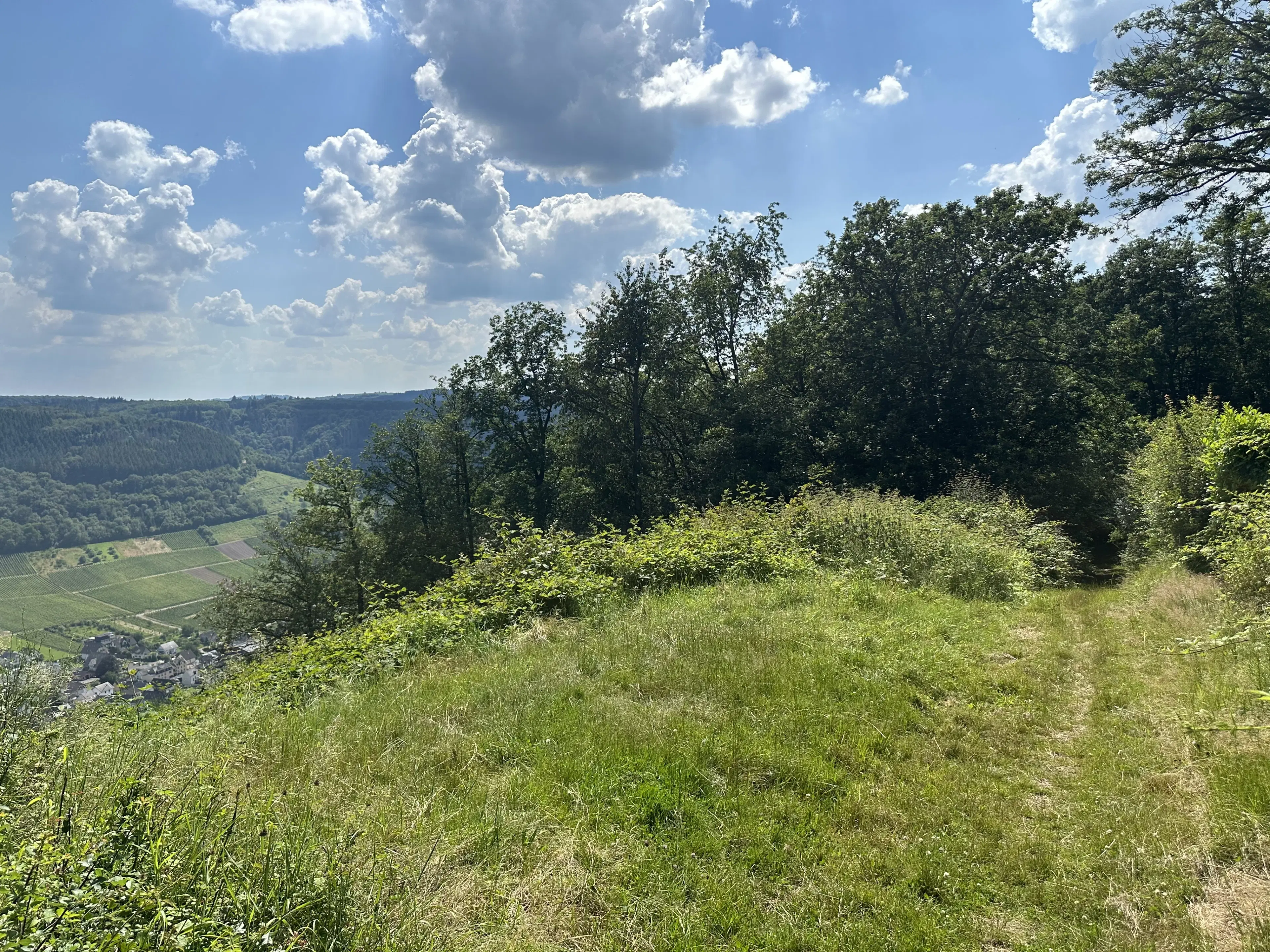 3 percelen van totaal 604 m² in Cochem - Duitsland