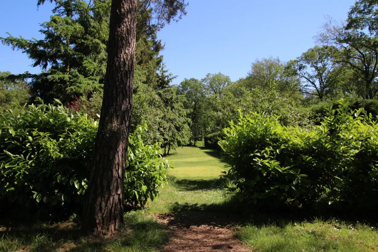 COMBINATIEVEILING - 67 percelen grond gelegen op Resort De Heimolen te Baarle-Nassau