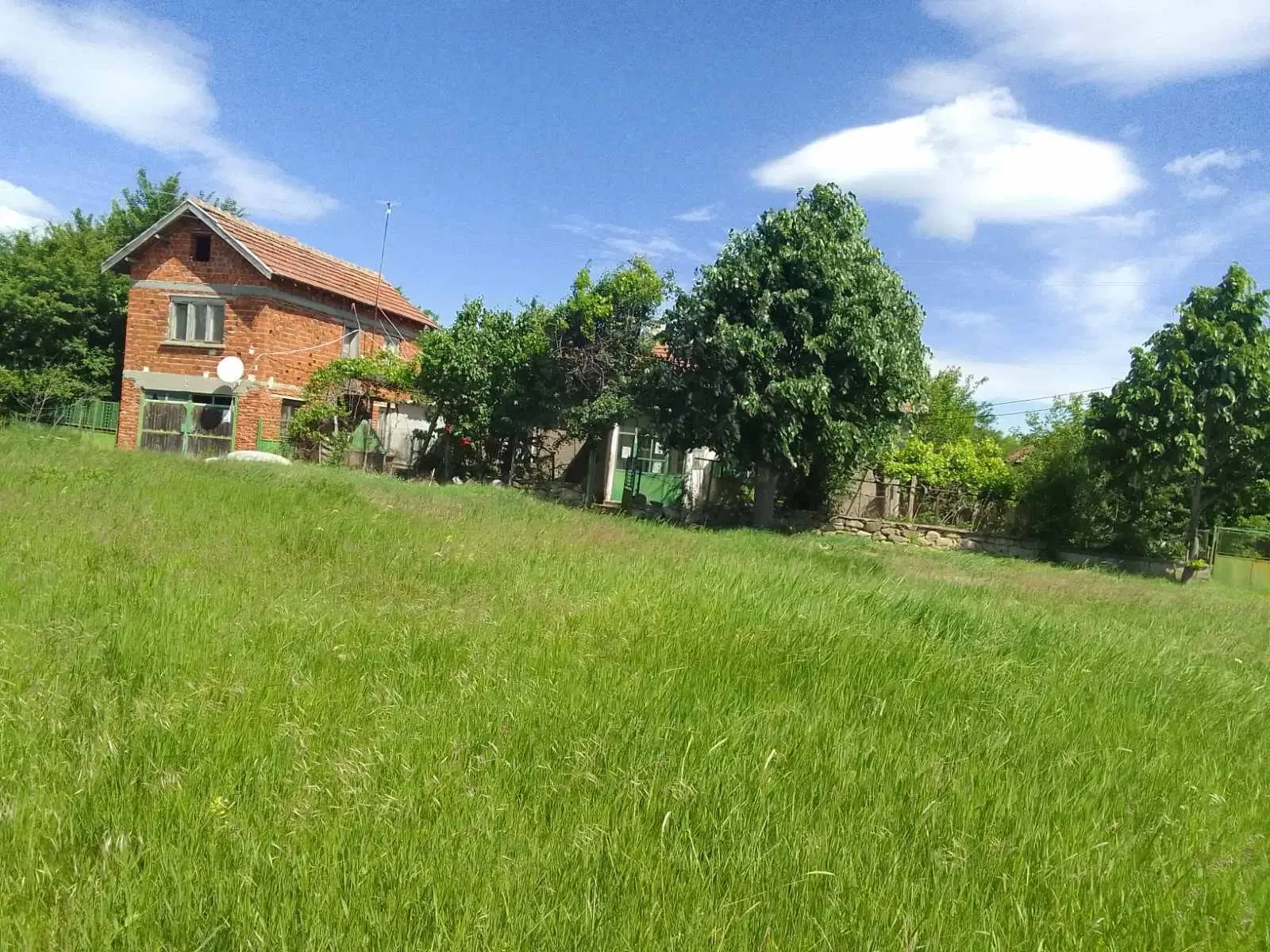 2 huizen op 2.480 m² land en bijgebouwen in Rakovitsa, Vidin - Bulgarije