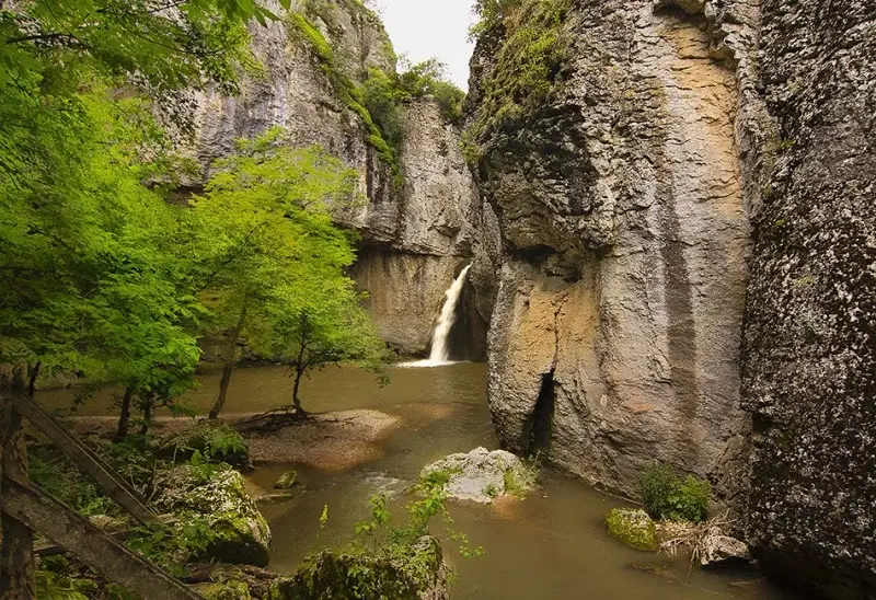 152.460 m² bosgrond in Suhindol, Veliko Tarnovo - Bulgarije