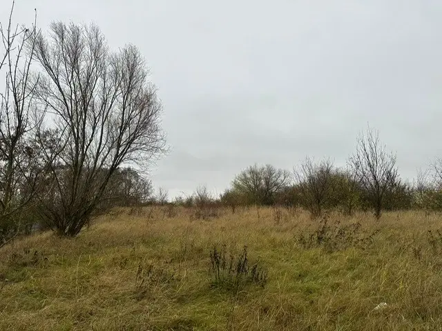 Eigendomsperceel van ca. 3.740 m² -off grid- Niederndodeleben, Maagdenburg - Duitsland